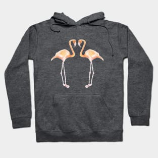 Flamingo Friends Hoodie